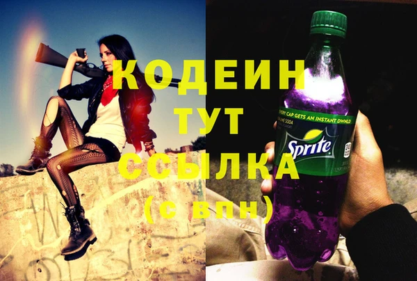 ПСИЛОЦИБИНОВЫЕ ГРИБЫ Лагань