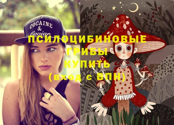 ПСИЛОЦИБИНОВЫЕ ГРИБЫ Лагань