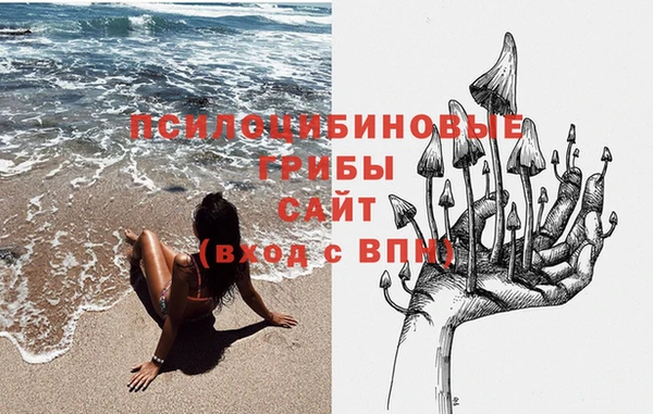 прущая мука Ладушкин