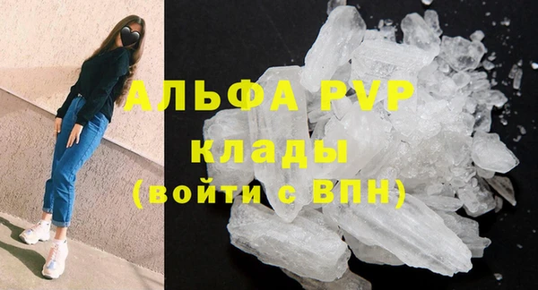 ПСИЛОЦИБИНОВЫЕ ГРИБЫ Лагань