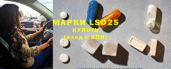 ПСИЛОЦИБИНОВЫЕ ГРИБЫ Лагань
