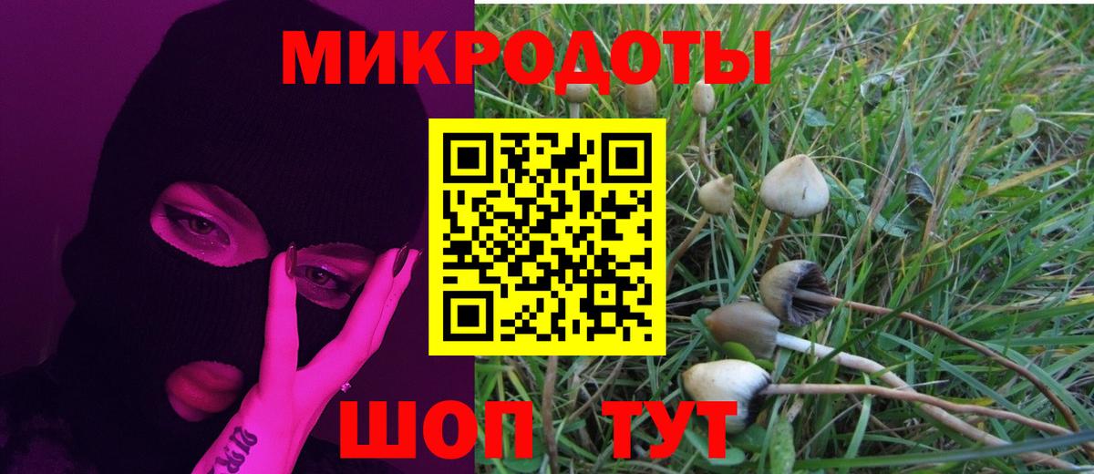 Галлюциногенные грибы мухоморы  Вход с VPN  Новочеркасск 