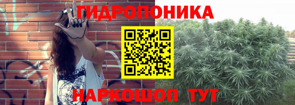 Каннабис индика Новочеркасск